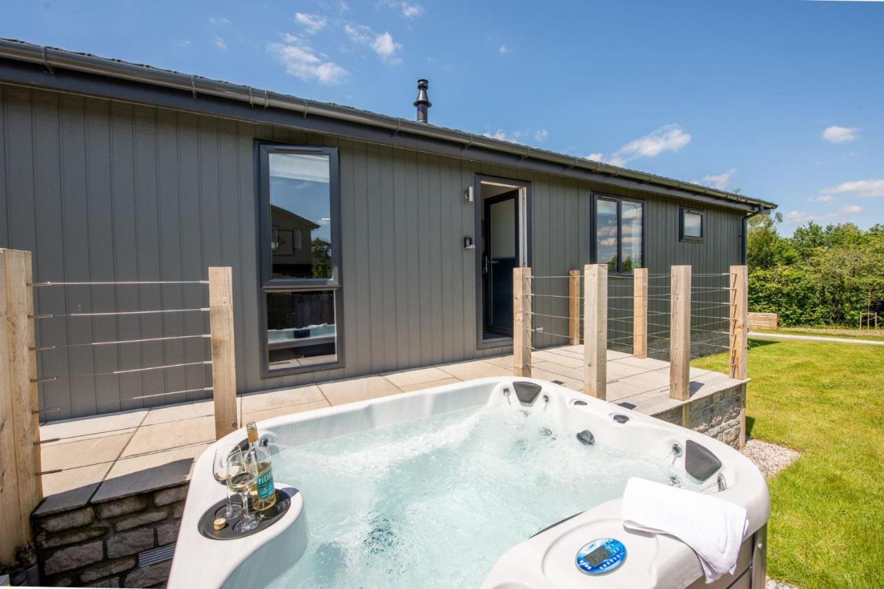 Lifton Buttercup Lodge, 33 Roadford Lake Lodges מראה חיצוני תמונה