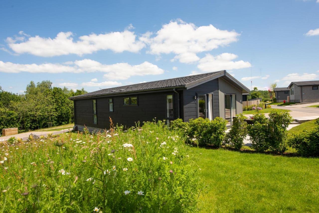Lifton Buttercup Lodge, 33 Roadford Lake Lodges מראה חיצוני תמונה